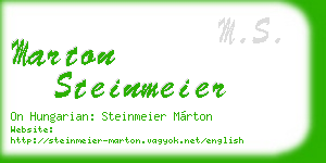marton steinmeier business card